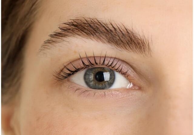 A single eye, showcasing the effects of an eyebrow lamination or lift and a lash lift.